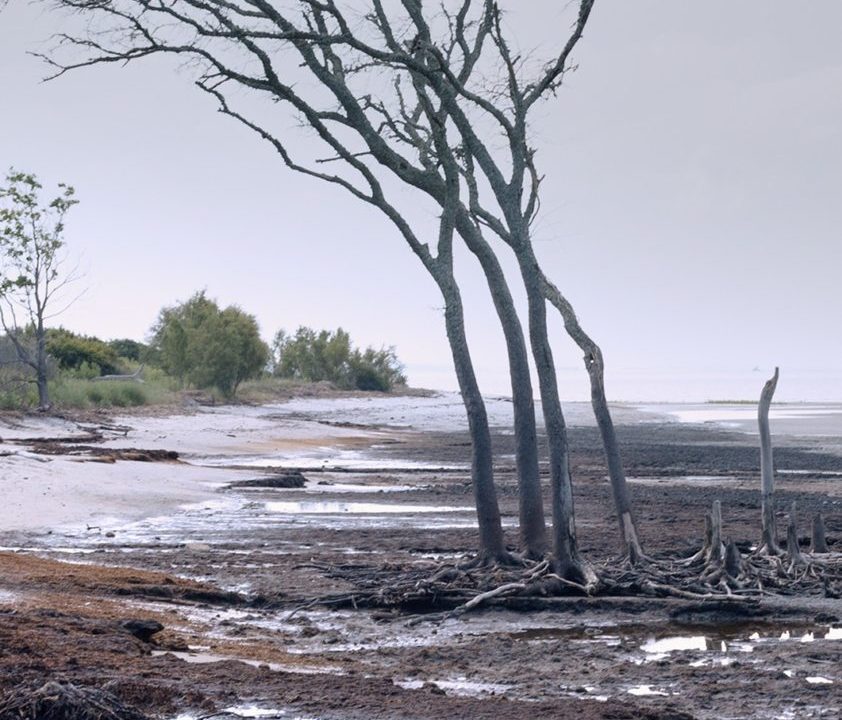 Dans le décor de...